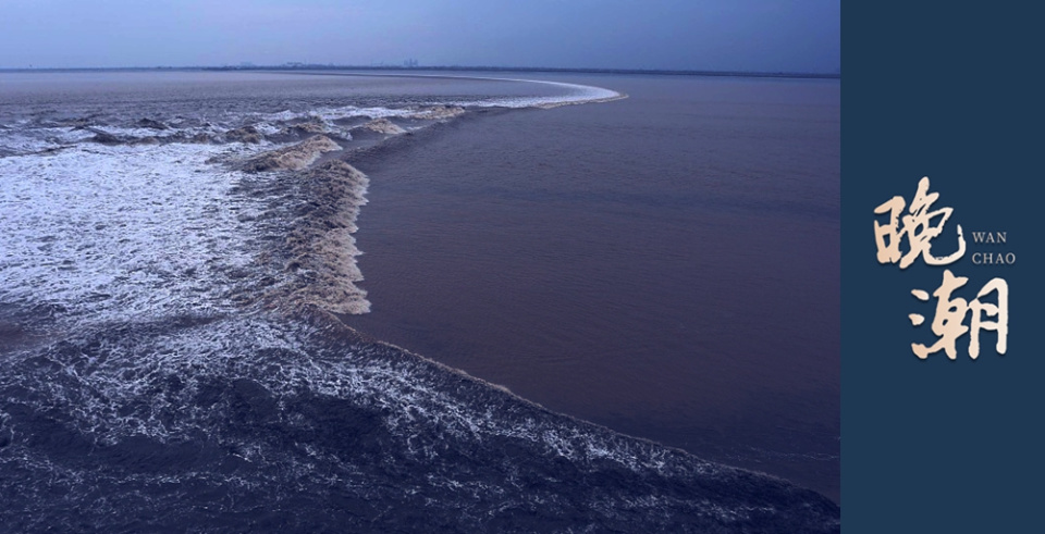 忻老师是我 忻老师是我